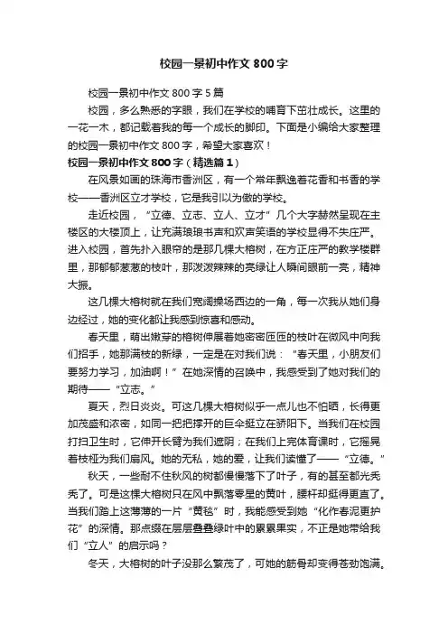 校园一景初中作文800字