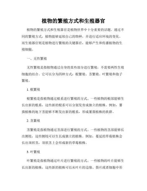 植物的繁殖方式和生殖器官