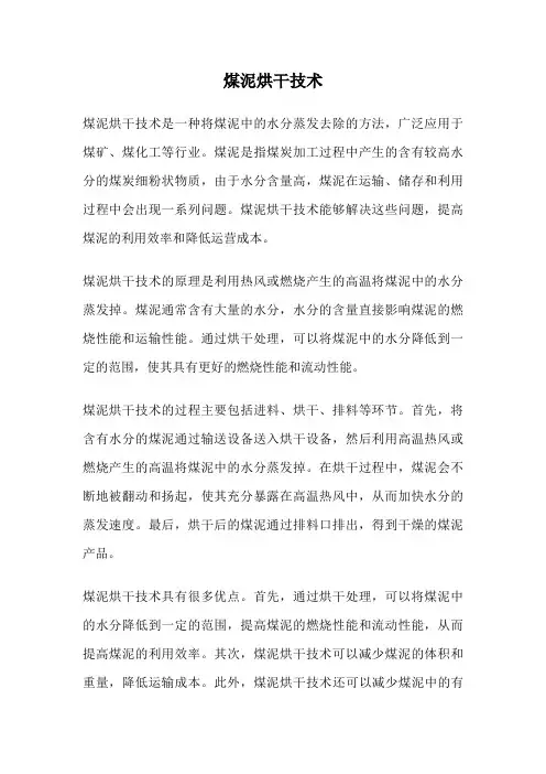 煤泥烘干技术