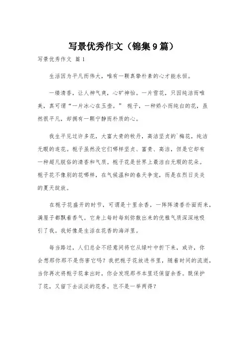 写景优秀作文(锦集9篇)