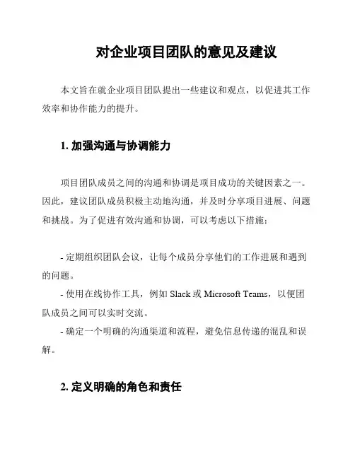 对企业项目团队的意见及建议