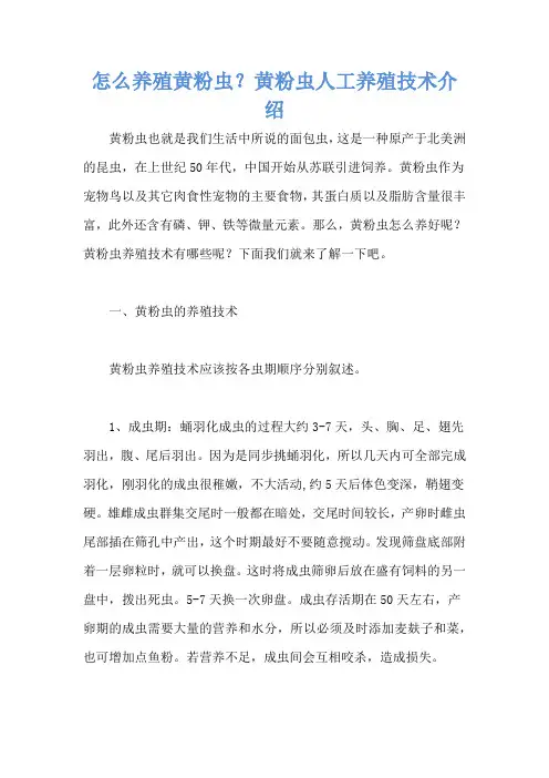怎么养殖黄粉虫？黄粉虫人工养殖技术介绍