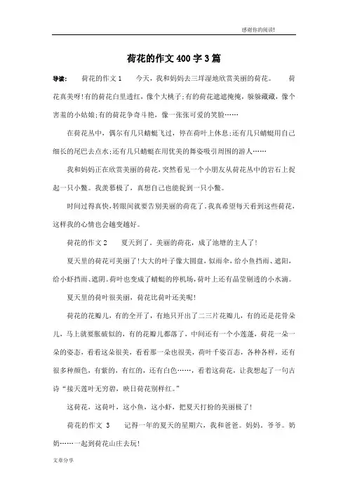 荷花的作文400字3篇