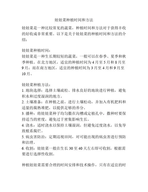 娃娃菜种植时间和方法