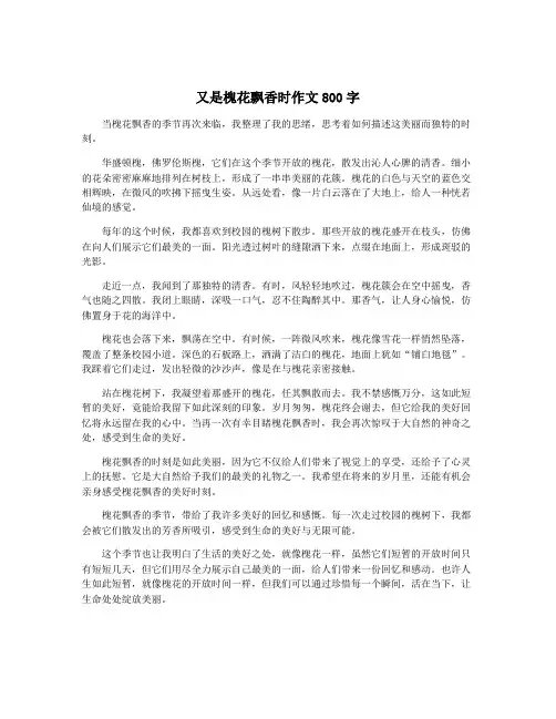 又是槐花飘香时作文800字