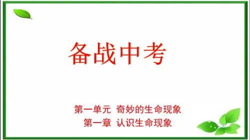1.1探究奇妙的生命现象 复习课件(共46张PPT)济南版初中生物七年级生物上册