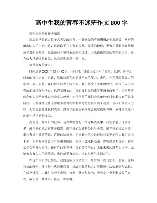 高中生我的青春不迷茫作文800字