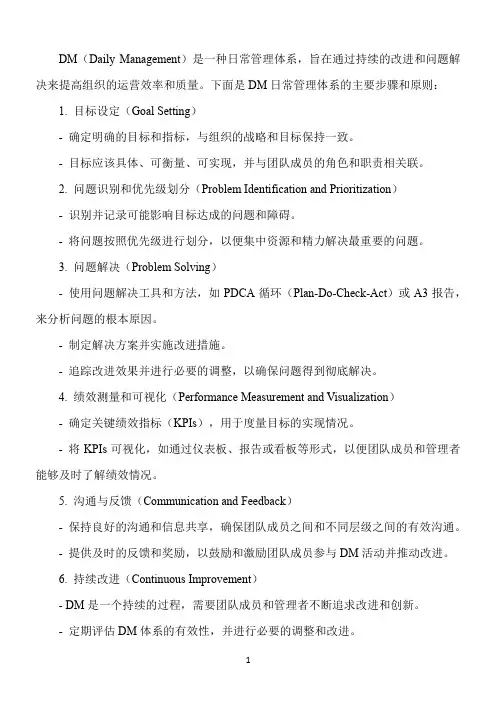 dm日常管理体系