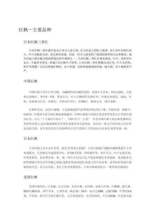 红枫—主要品种