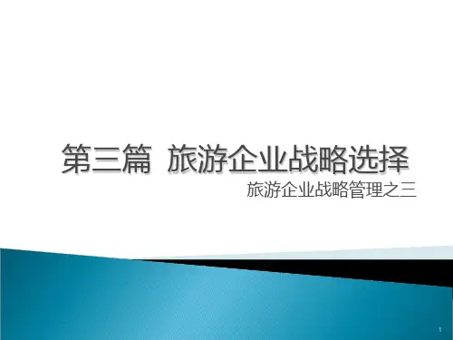 旅游企业战略选择 PPT课件
