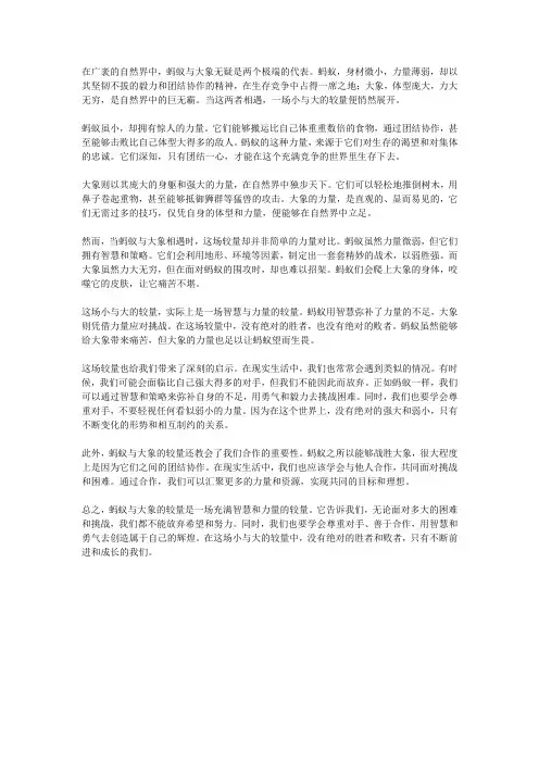蚂蚁与大象：小与大的较量