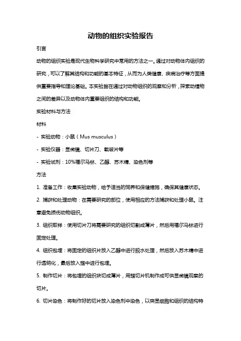 动物的组织实验报告