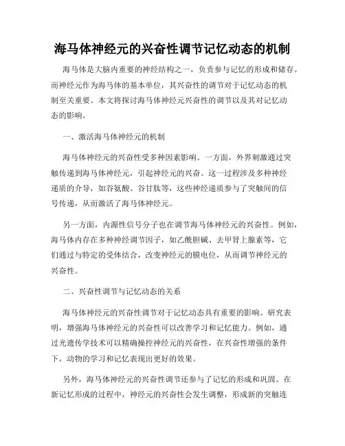 海马体神经元的兴奋性调节记忆动态的机制