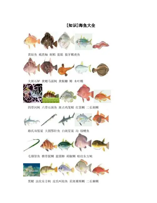 [知识]海鱼大全