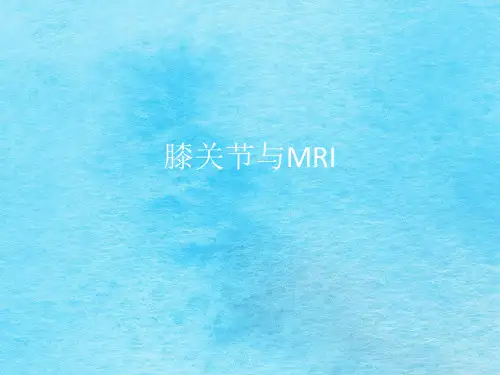 膝关节与MRIppt课件