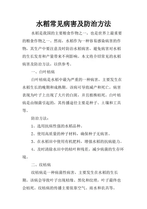 水稻常见病害及防治方法