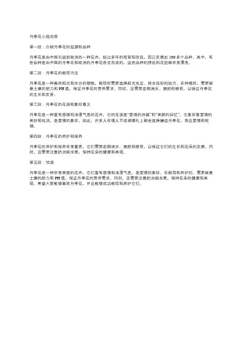 月季花小报内容