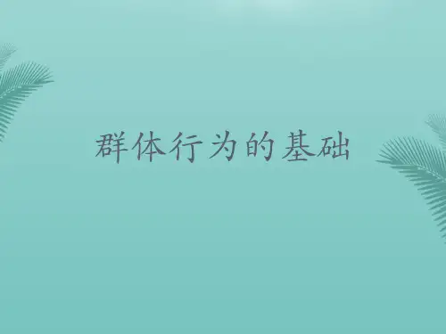 【推荐文档】群体行为的基础PPT