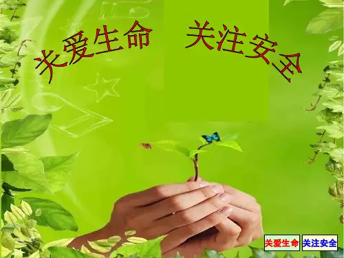关爱生命  关注安全课件PPT