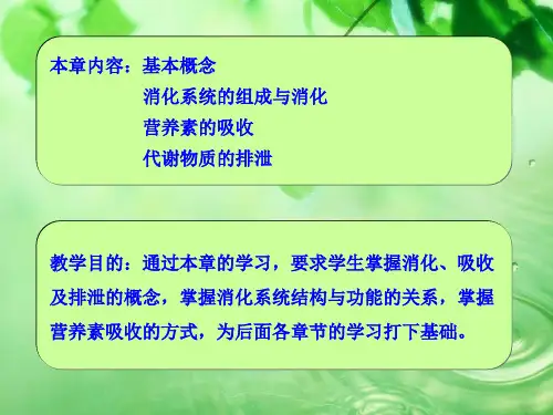 消化吸收与排泄精品PPT课件