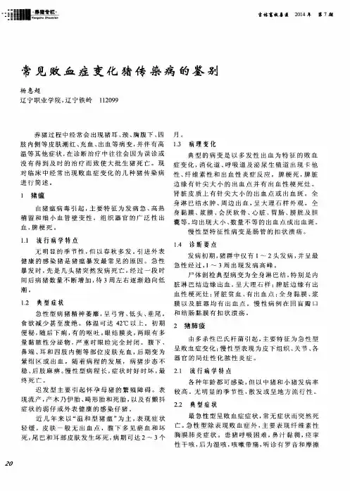 常见败血症变化猪传染病的鉴别