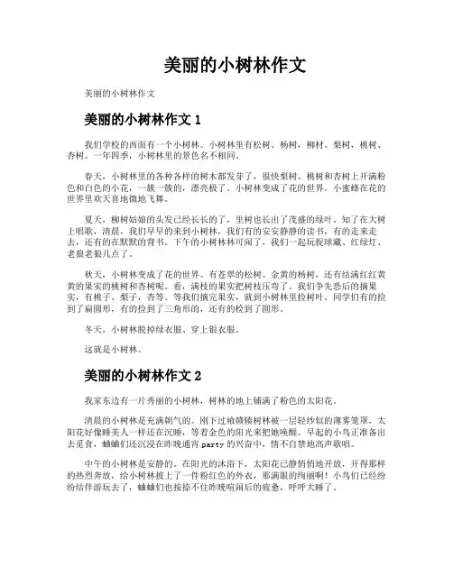 美丽的小树林作文