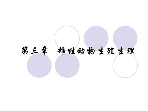 第三章  雄性生殖生理