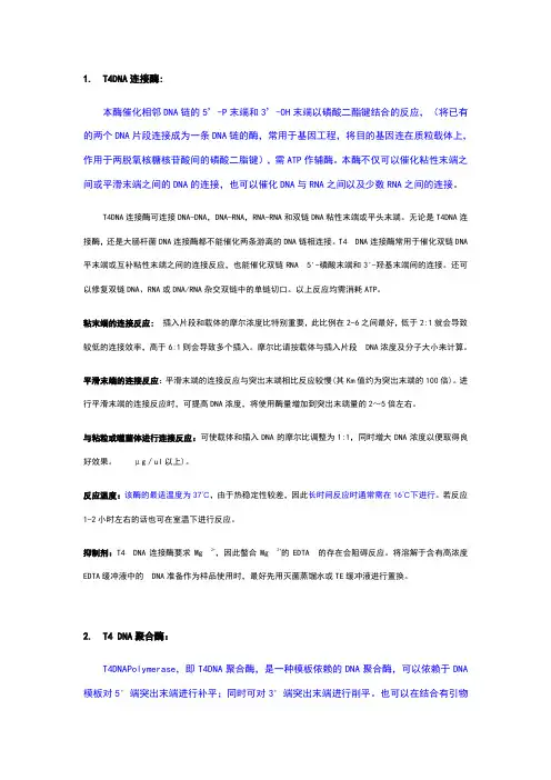 常用DNA酶的总结