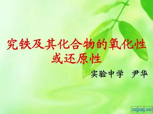 探究铁及其化合物的氧化性和还原性