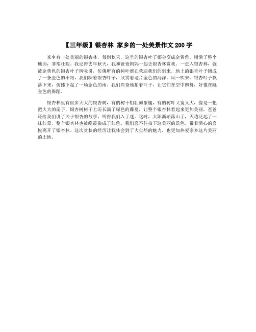 【三年级】银杏林 家乡的一处美景作文200字