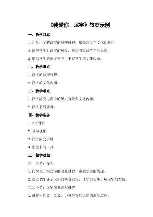 五年级《我爱你,汉字》教案示例