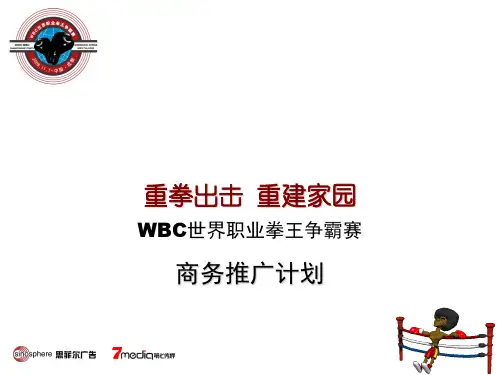 世界职业拳王争霸赛招商手册(ppt 58页)