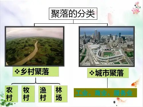 人教版七级上册第一章第二节乡村与城市经典课件