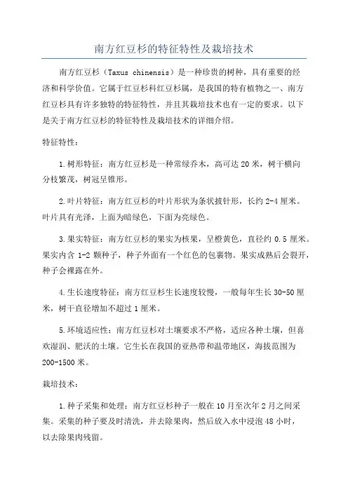 南方红豆杉的特征特性及栽培技术