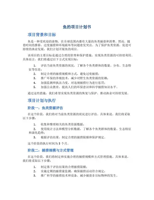 鱼的项目计划书