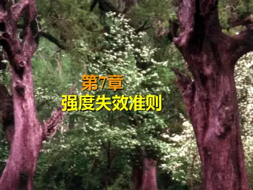 12-第二组-殷雅俊-清华大学_969006222