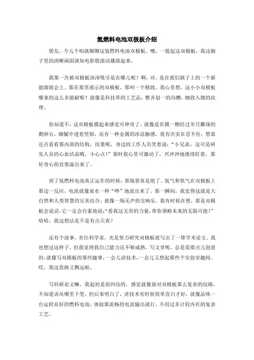 氢燃料电池双极板介绍