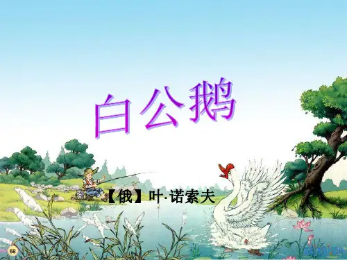 白公鹅课件PPT