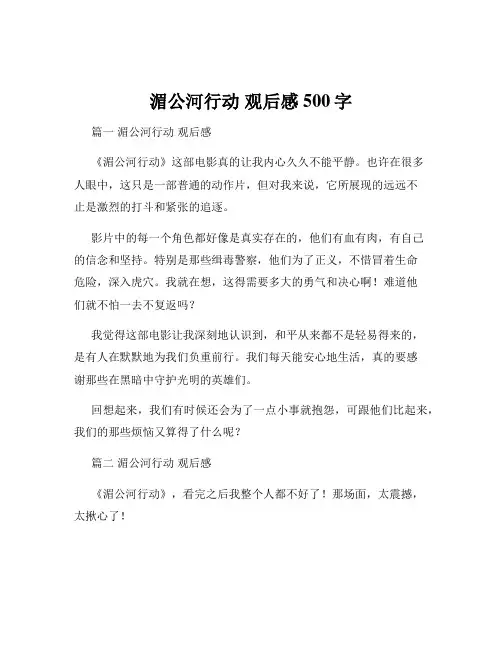 湄公河行动 观后感500字