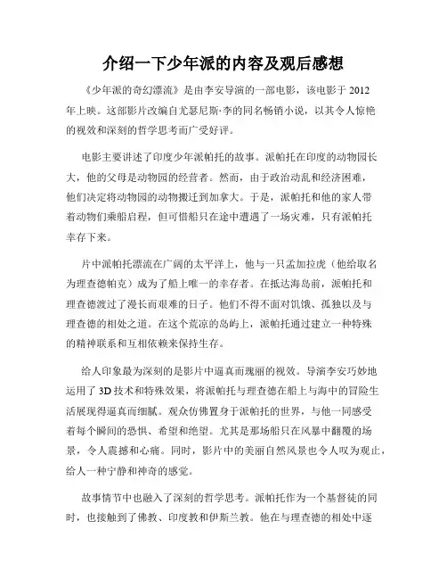 介绍一下少年派的内容及观后感想