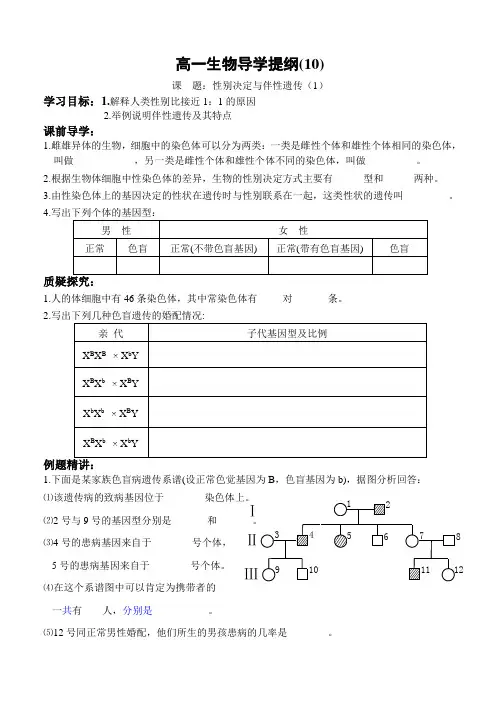 性别决定与伴性遗传一