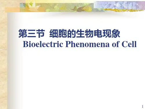 第二章第三节  细胞的生物电现象PPT课件