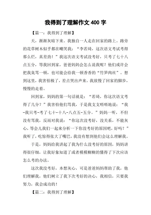 我得到了理解作文400字