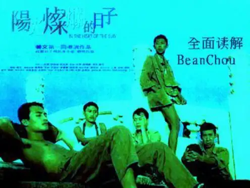 影片分析,阳光灿烂的日子