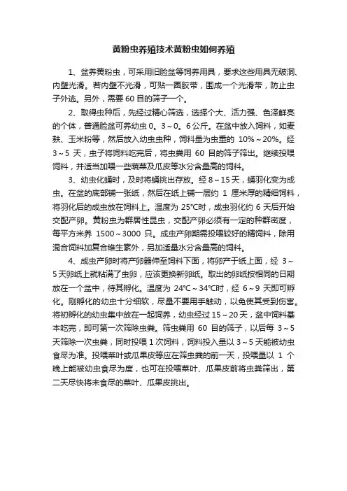 黄粉虫养殖技术黄粉虫如何养殖