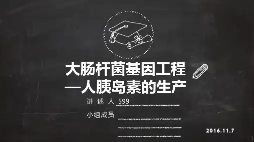 大肠杆菌基因工程——人胰岛素202-2