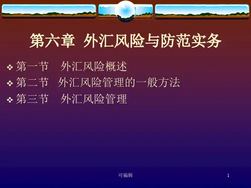 外汇风险与防范实务PPT课件