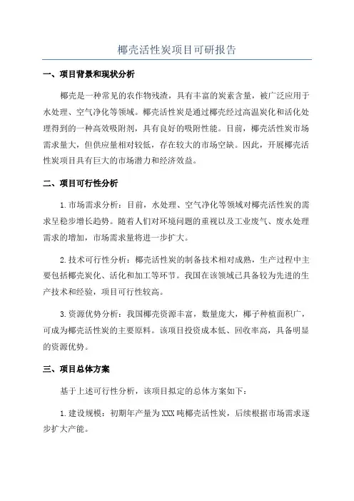 椰壳活性炭项目可研报告