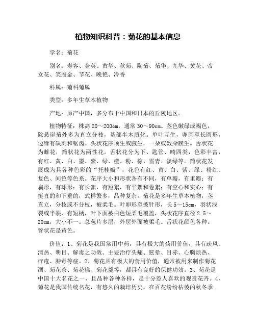 植物知识科普：菊花的基本信息