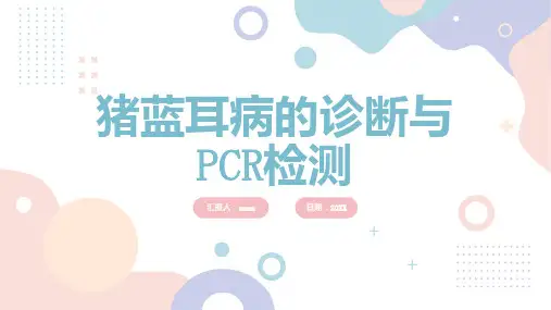 猪蓝耳病的诊断与检测